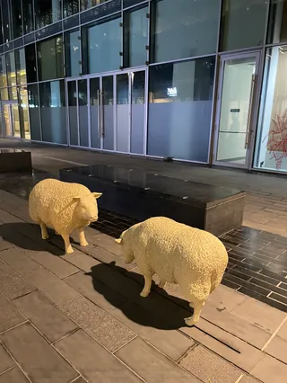 Design District Walkway
