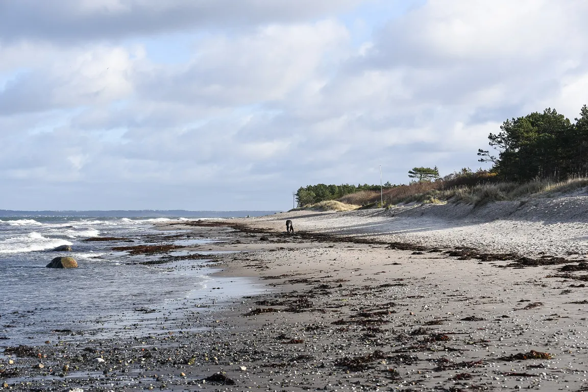 Hornbaek beach