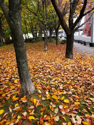 Kairakuen Ryokuchi Park