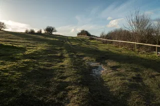 Badbury Rings