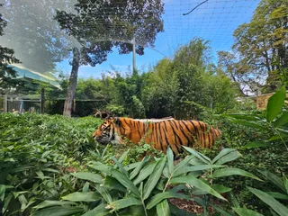 ZOO Wrocław sp.z o.o.