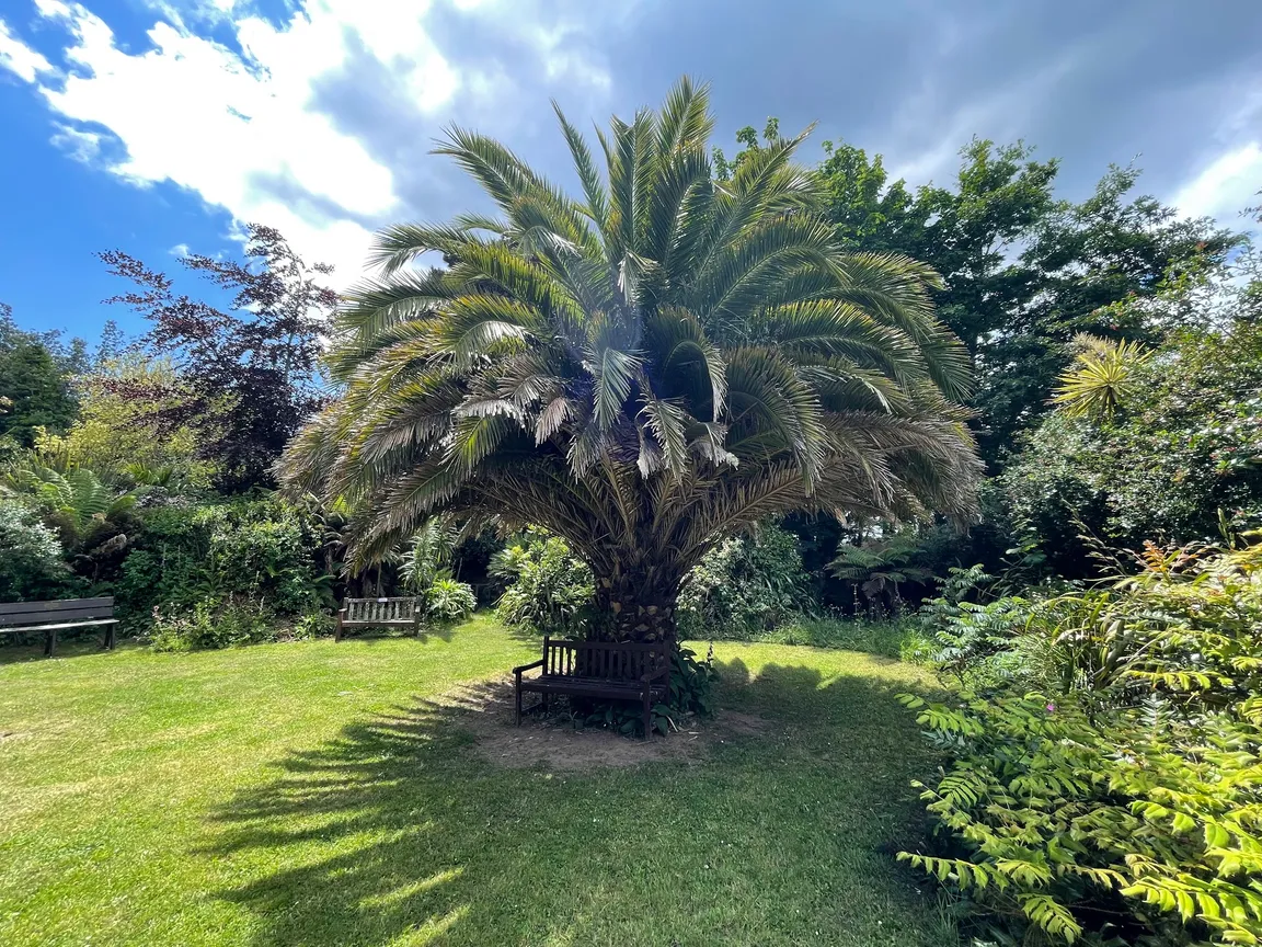 Carreg Dhu Gardens