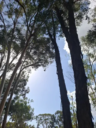 Athalassa National Park Playground