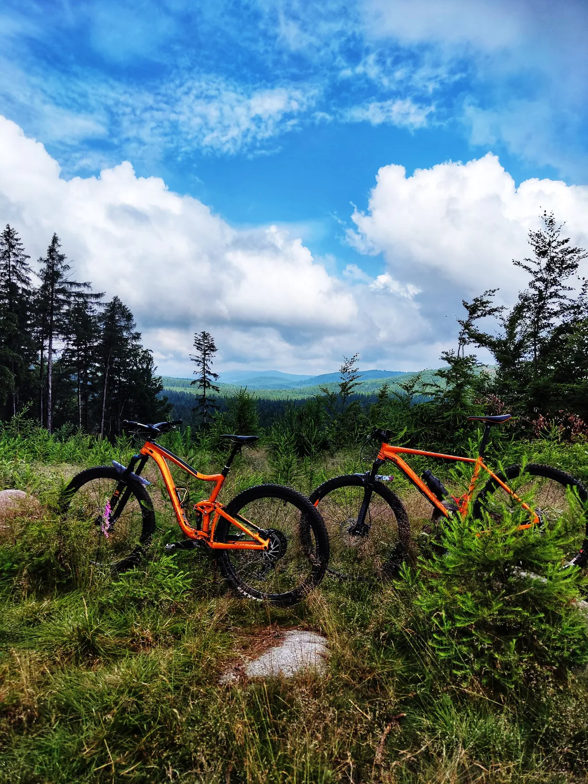 Pasmo Rowerowe OLBRZYMY