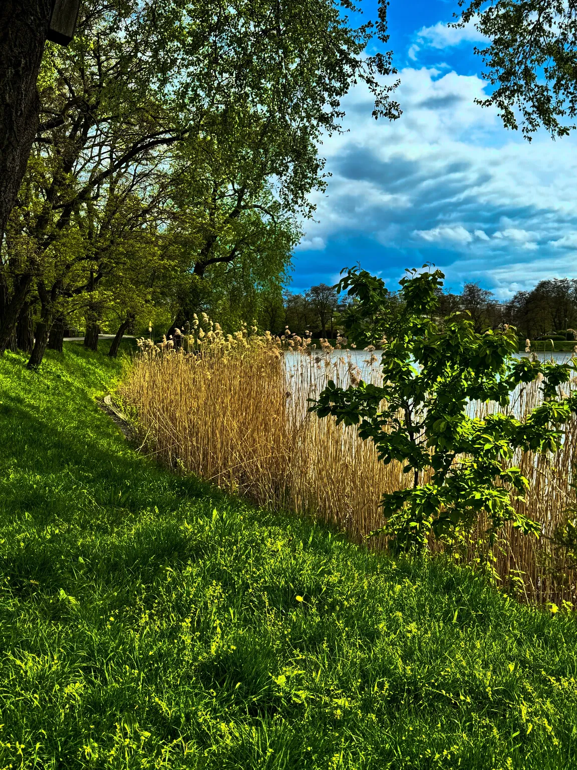 Park ze Stawami Cietrzewia