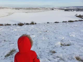 CHILTERNS NATURE - IVINGHOE HILLS NATURE RESERVE