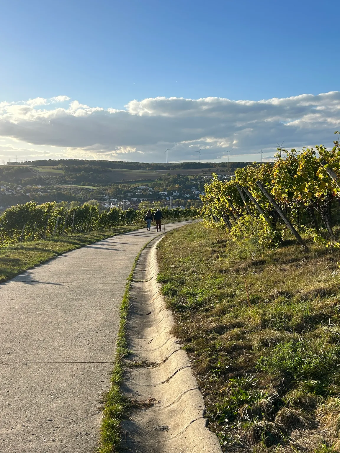 Aussichtspunkt auf Würzburg