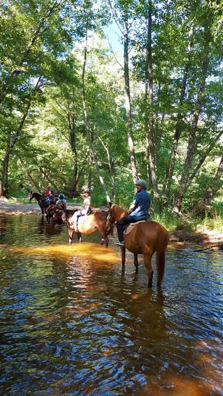 La Prugnola Ranch - Passeggiate a cavallo Costa Smeralda