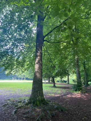 Queen Elizabeth Country Park