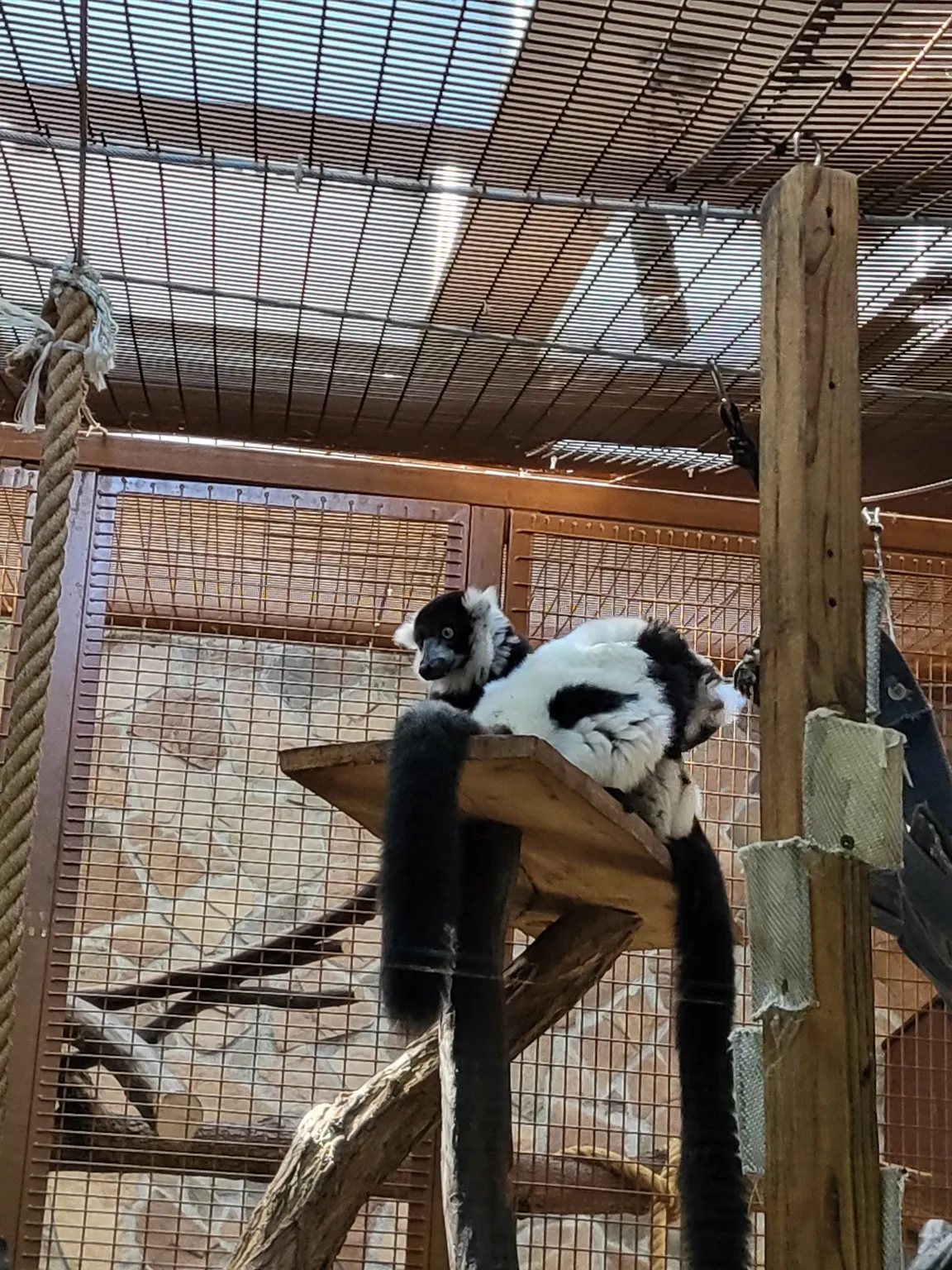 Ogród Zoobotaniczny w Toruniu