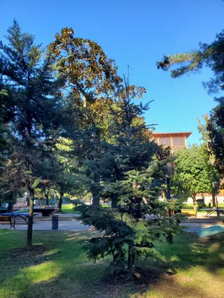 Fountain