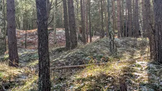 Wejście do obiektu A