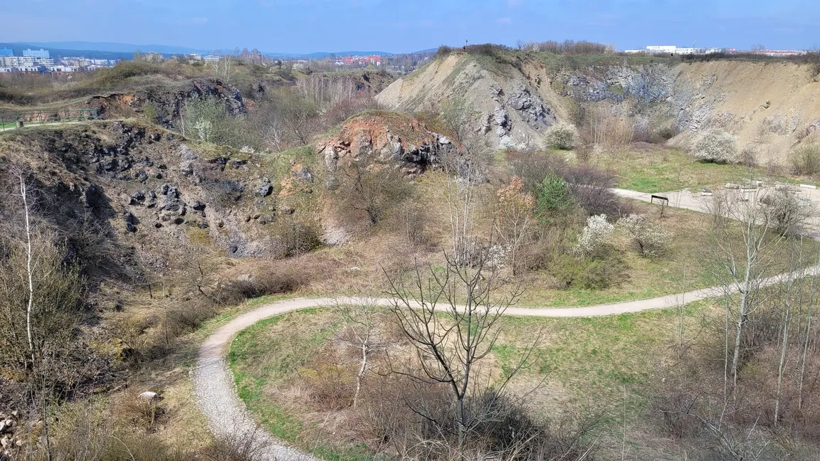 Rezerwat Przyrody Wietrznia im. Zbigniewa Rubinowskiego