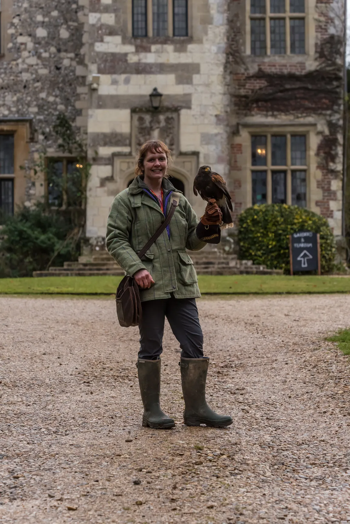 Hampshire Hawk Walks