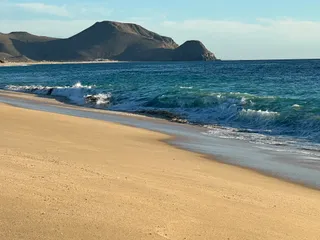 Flora del Mar