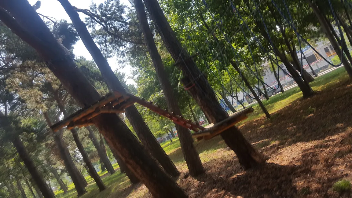 Park linowy dla dzieci