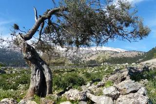 Kakos Poros trail - Viewpoint