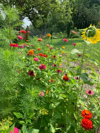 Griffin Gardens
