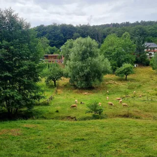 Maibachfarm GmbH & Co. KG