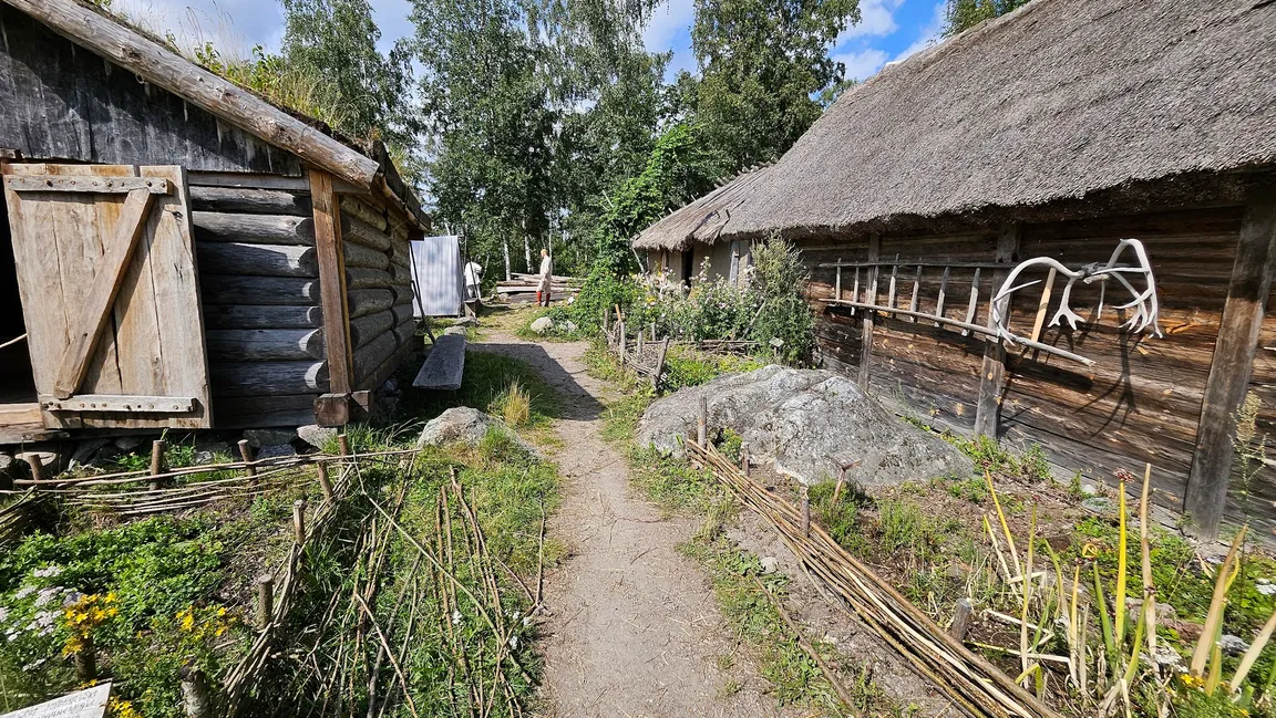 Reconstruction of Viking Village