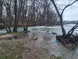 Silvas Park