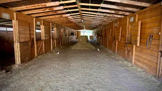 BESTHORSES