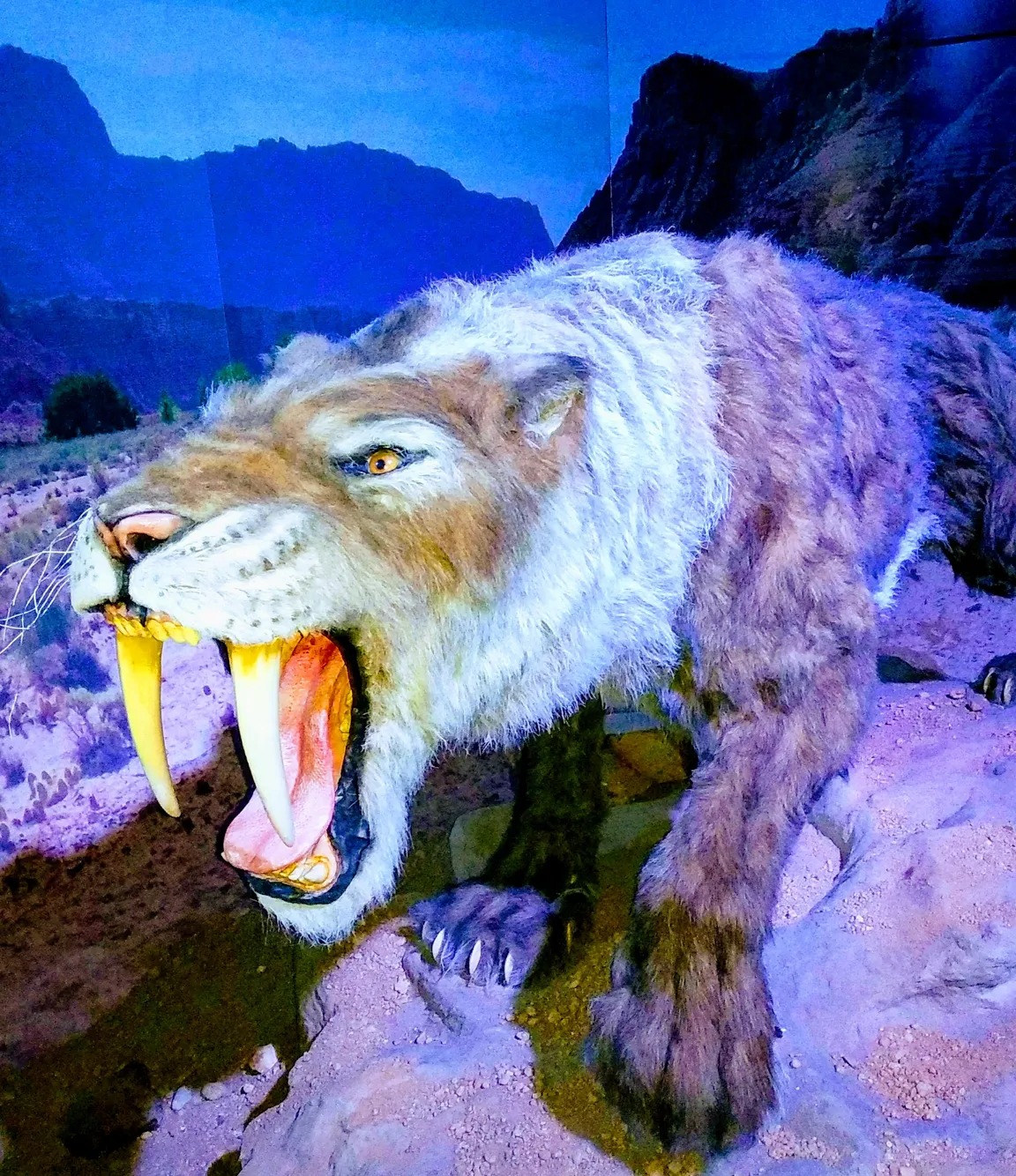 DinoPark Liberec Plaza