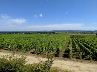 Château d'Yquem