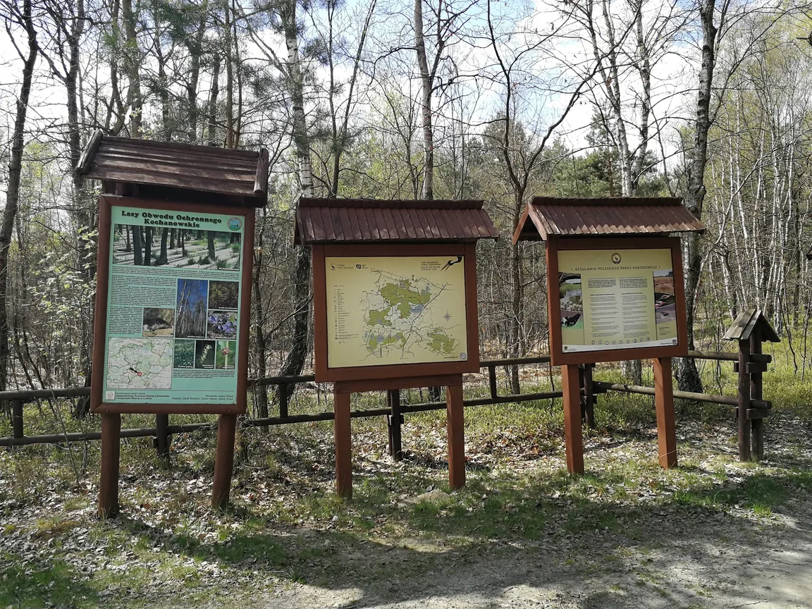 Pole wypoczynkowe - Babsk