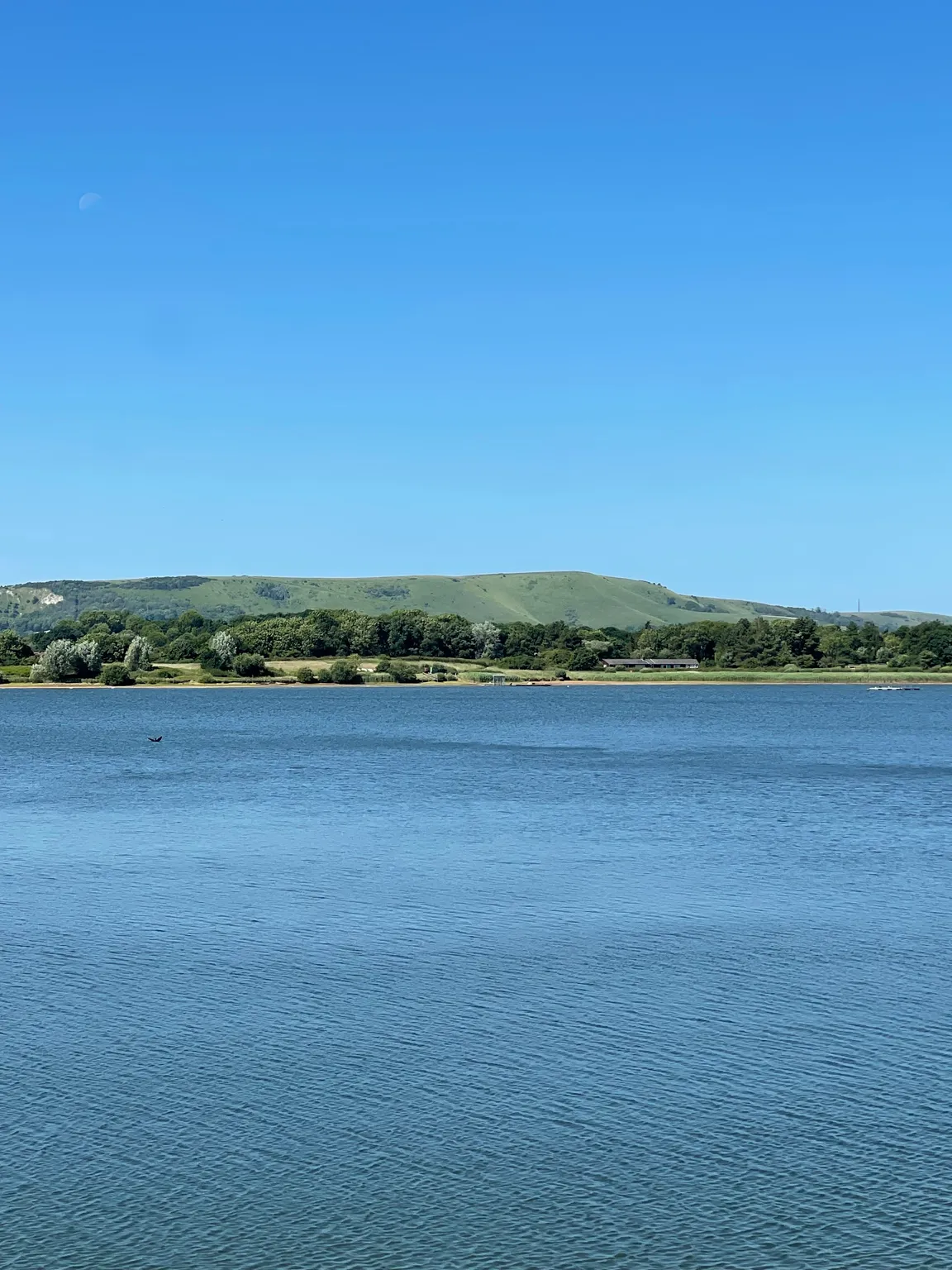 Arlington Reservoir