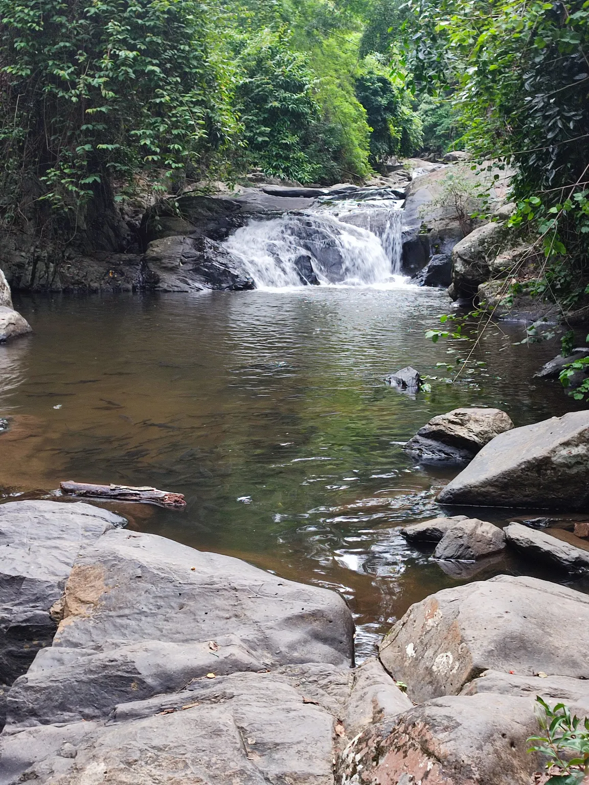 Kaeng Krachan National Park