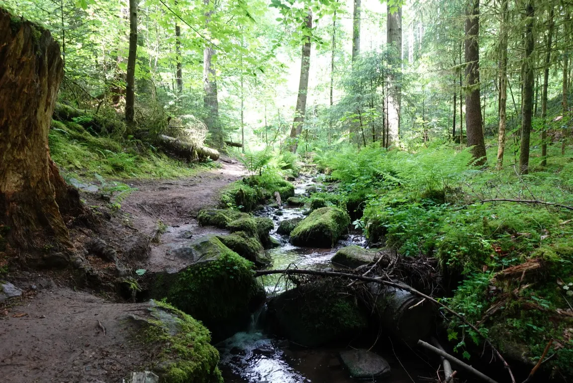 Rötelbachtal