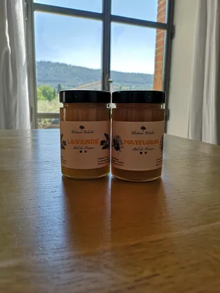 Château Cohola