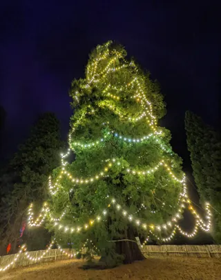Wakehurst