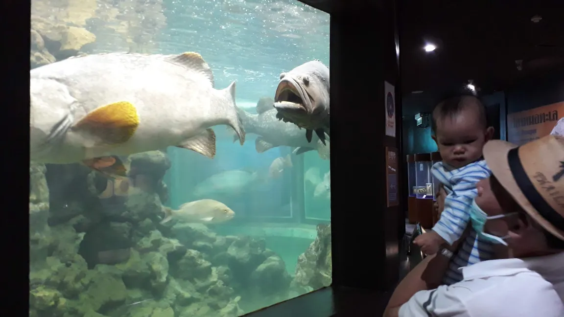 Phuket Aquarium
