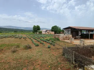 Hora Hvar