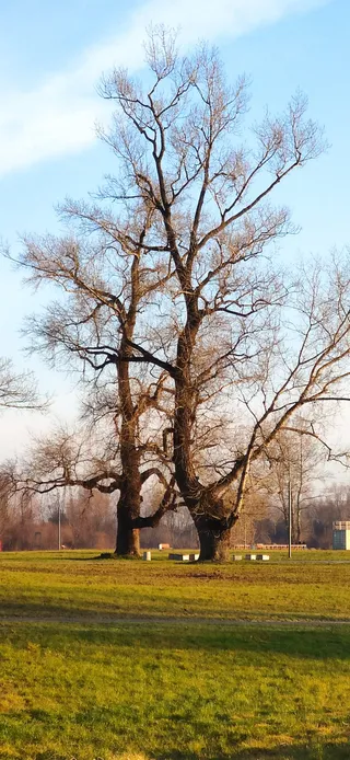 Błonie Nadsańskie