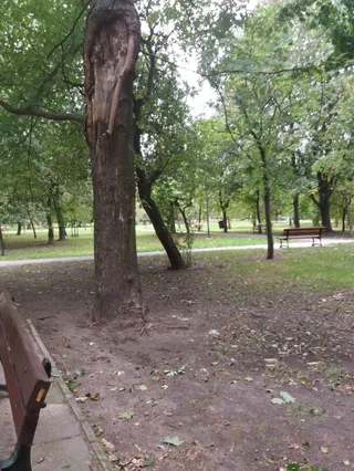 Park Sady Żoliborskie