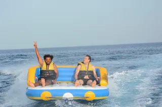 Palms Tours