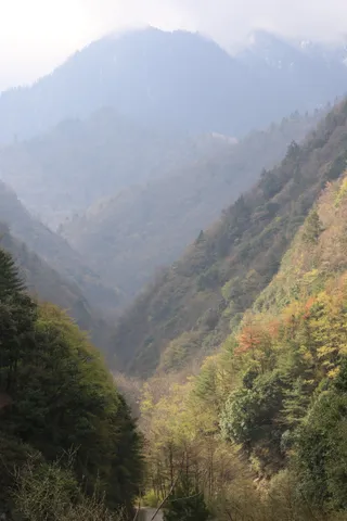 Sichuan Tangjiahe National Nature Reserve