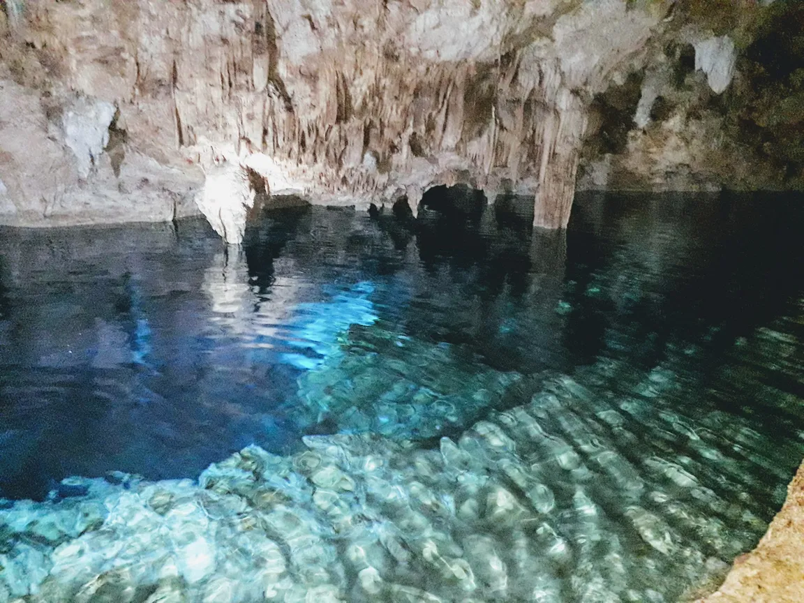 Art of Diving - Scuba diving in Punta Cana