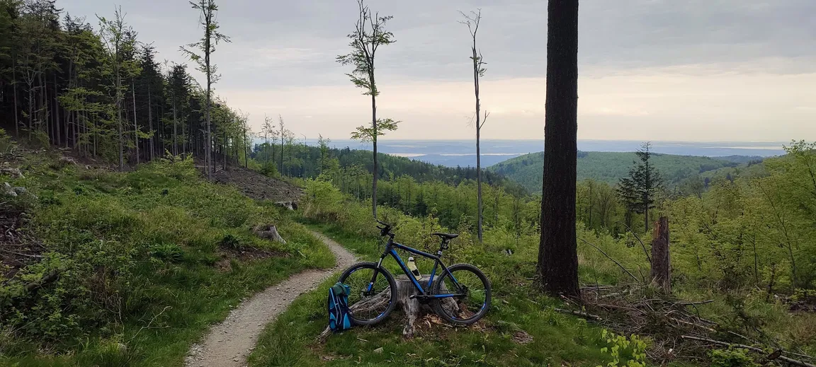 Singletrack Glacensis „Pętla Złoty Stok”
