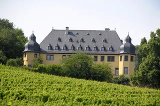 Weingut Schloss Vollrads