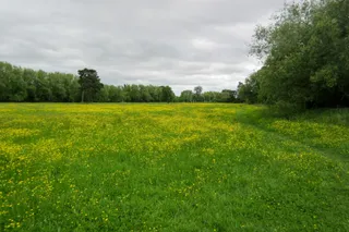 Zamek Wallingford