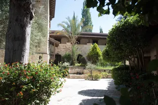 היער הסודי Secret Forest | Wellness Retreat & Spa