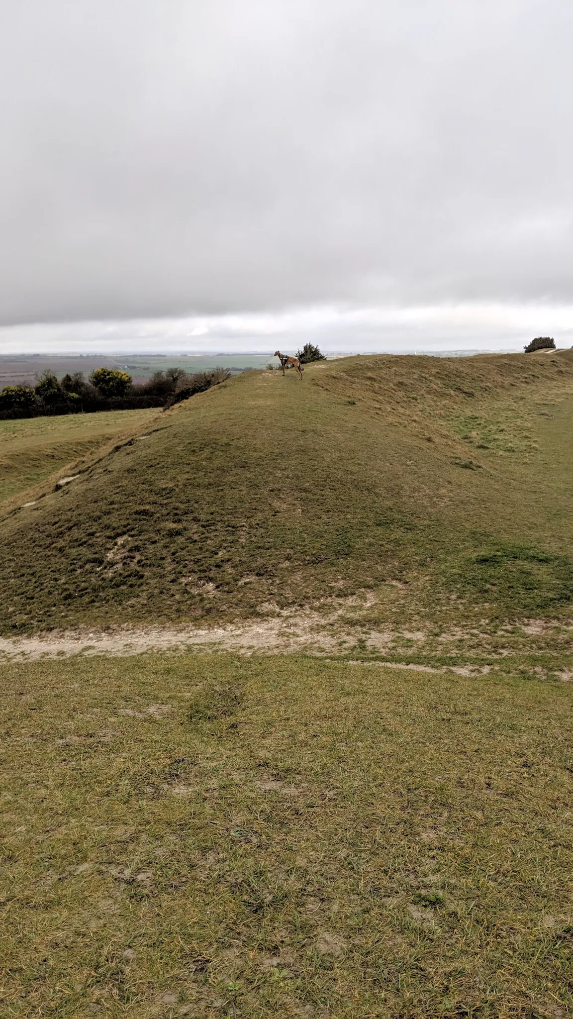 National Trust - Figsbury Ring