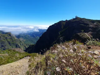 Miradouro do Ninho da Manta