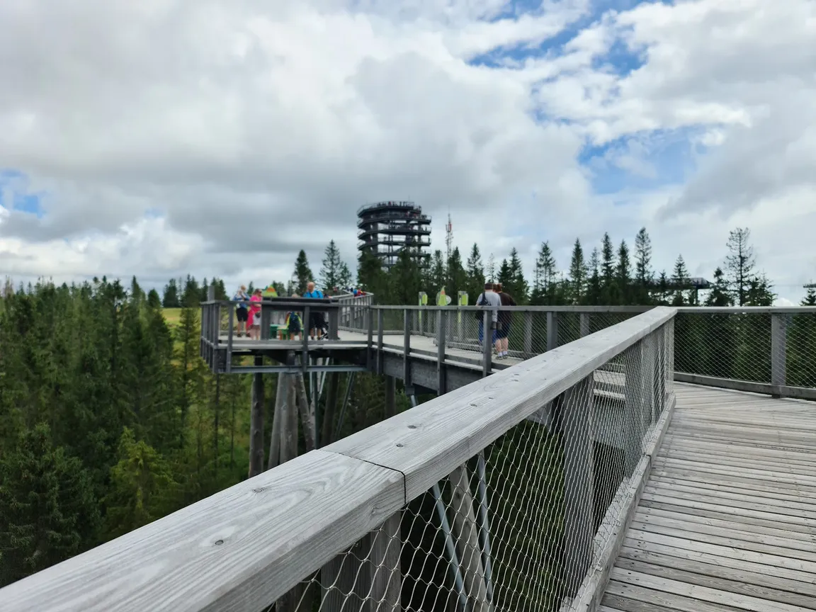Treetop Walk Bachledka