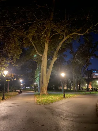 Park