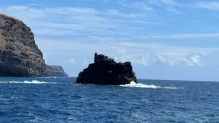 Roque de Iguala